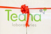 Предлагаем открыть магазин биоактивной косметики “Teana”.