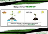 Стимулятор роста растений "TERAWET"