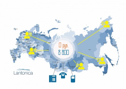 Номер 8800 бесплатно