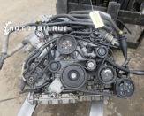 Двигатель BDN 4,0л Volkswagen (Фольксваген) Passat (Пассат)