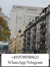 Лечение рака в Германии [Charite]